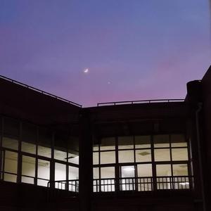 少妇人禽zozo伦视频
